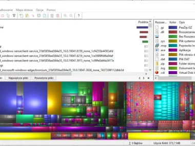 WinDirStat program do badania zajętości dysku