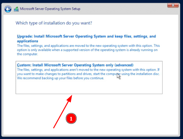 Instalacja Windows Server 2022 - Wybór opcji instalacji